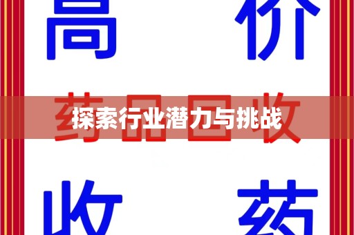 成都探索行业潜力与挑战