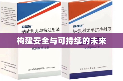 成都构建安全与可持续的未来