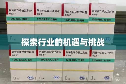 成都探索行业的机遇与挑战
