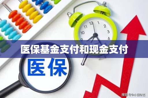 成都医保基金支付和现金支付